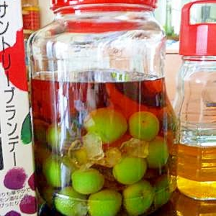 今年は大人なブランデー梅酒 レシピ 作り方 By 英国マニア 楽天レシピ 今年は大人なブランデー梅酒 レシピ 作り方 By 英国マニア 楽天レシピ